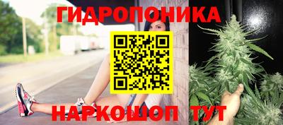 трава Краснокаменск