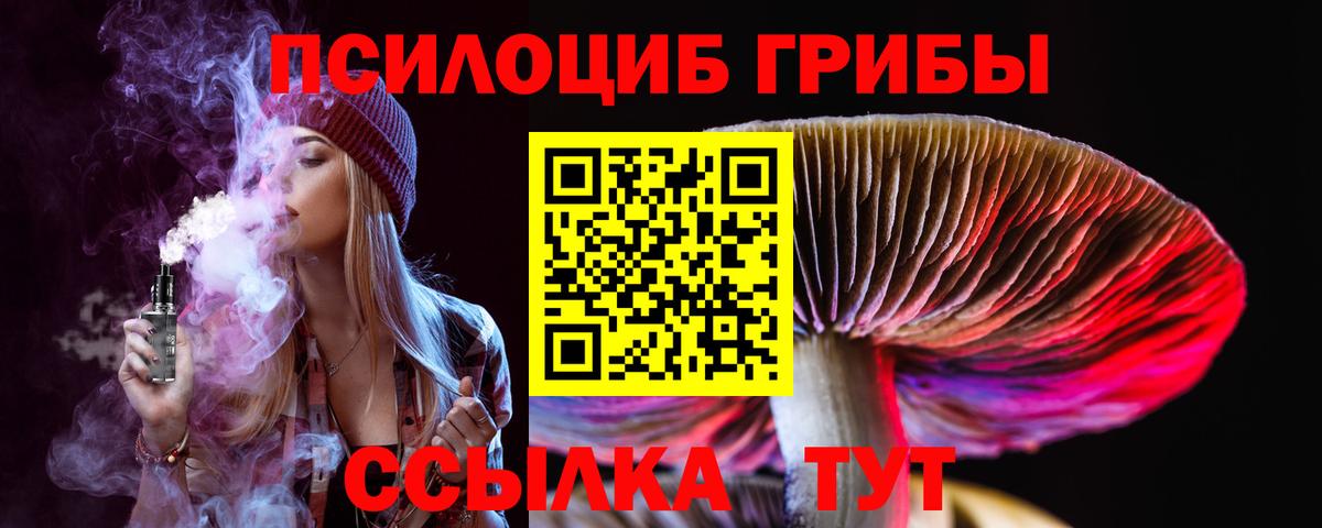 Псилоцибиновые грибы Magic Shrooms  Вход с VPN  Йошкар-Ола 